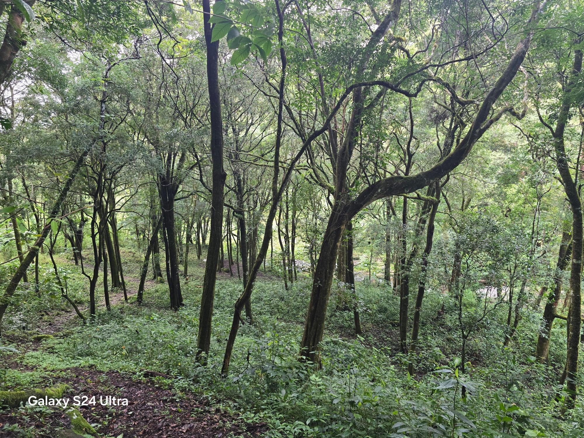 Finca en venta en Boquete