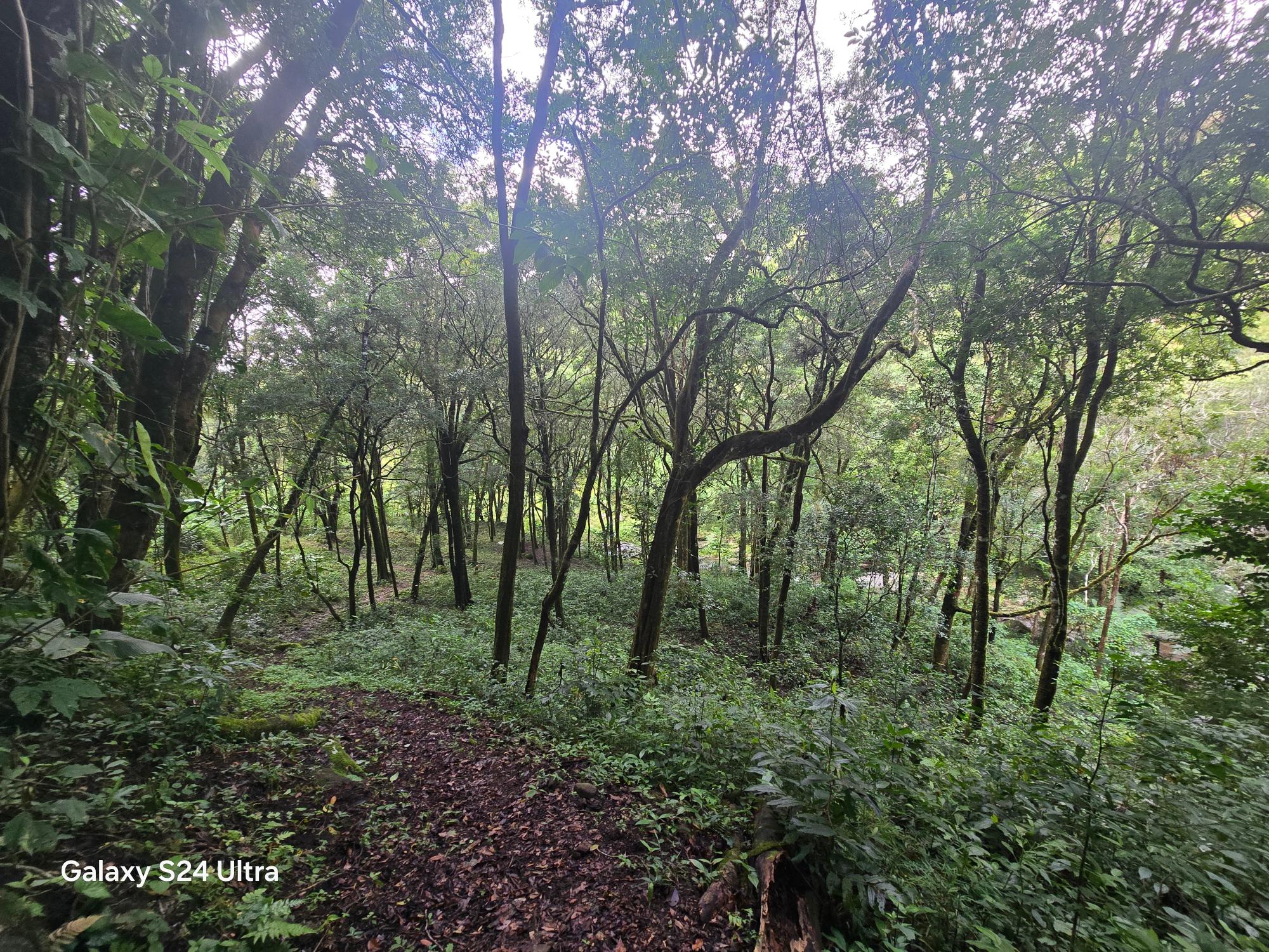 Finca en venta en Boquete