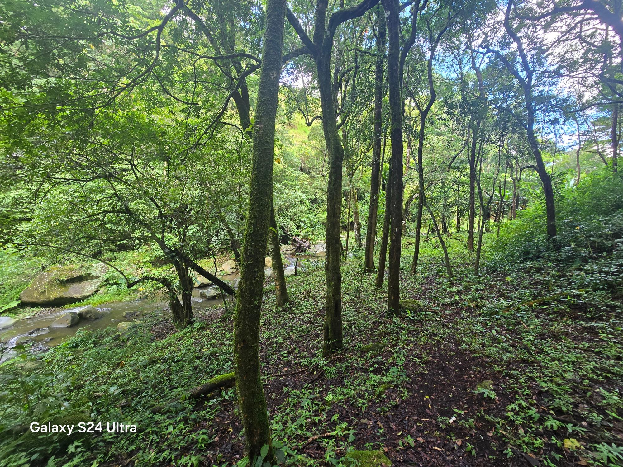 Finca en venta en Boquete