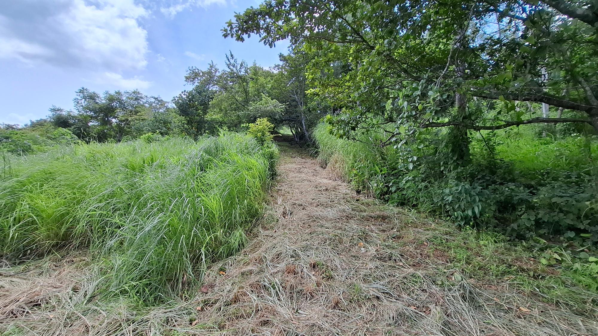 Terreno en venta en Bejuco