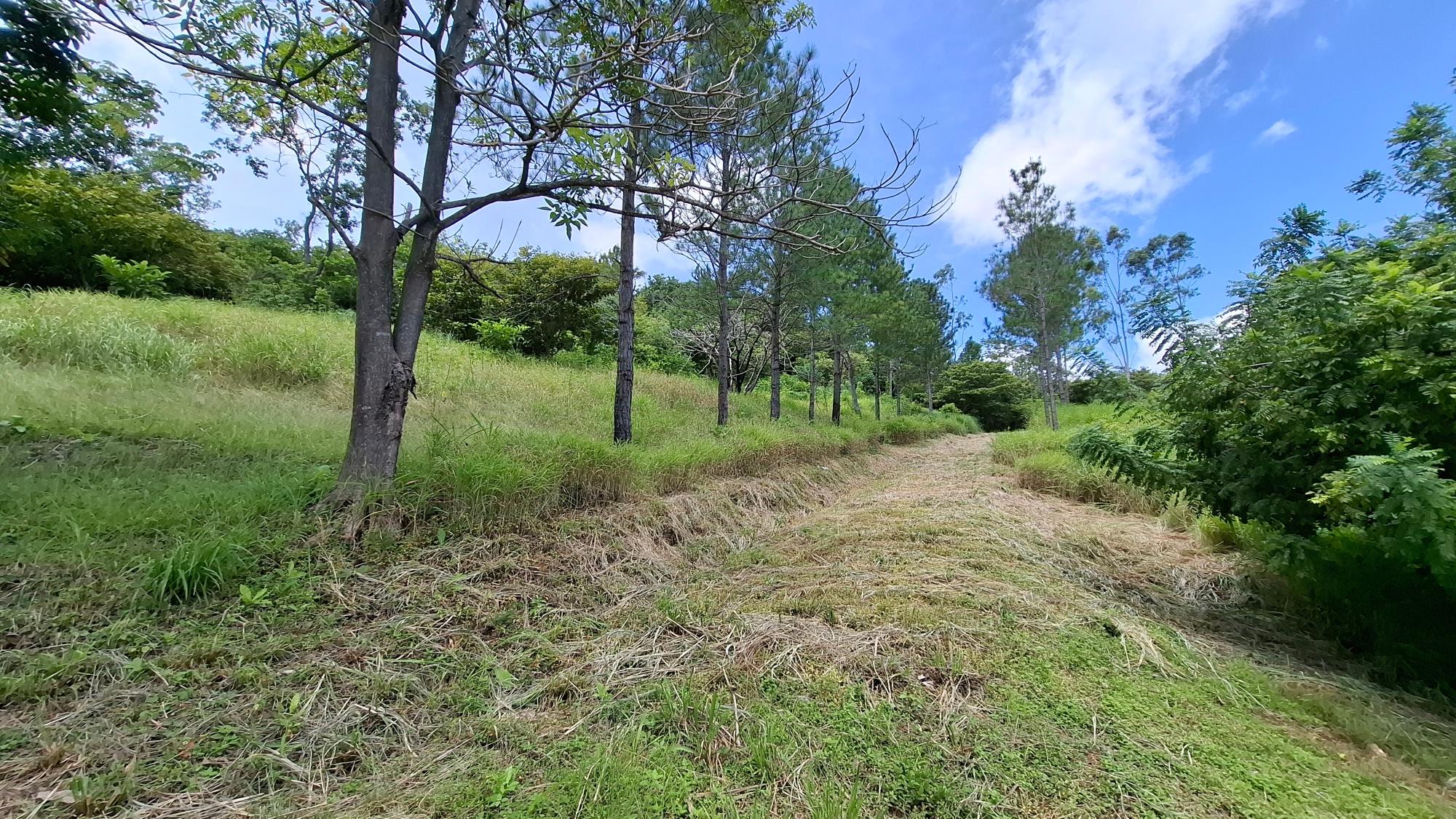 Terreno en venta en Bejuco