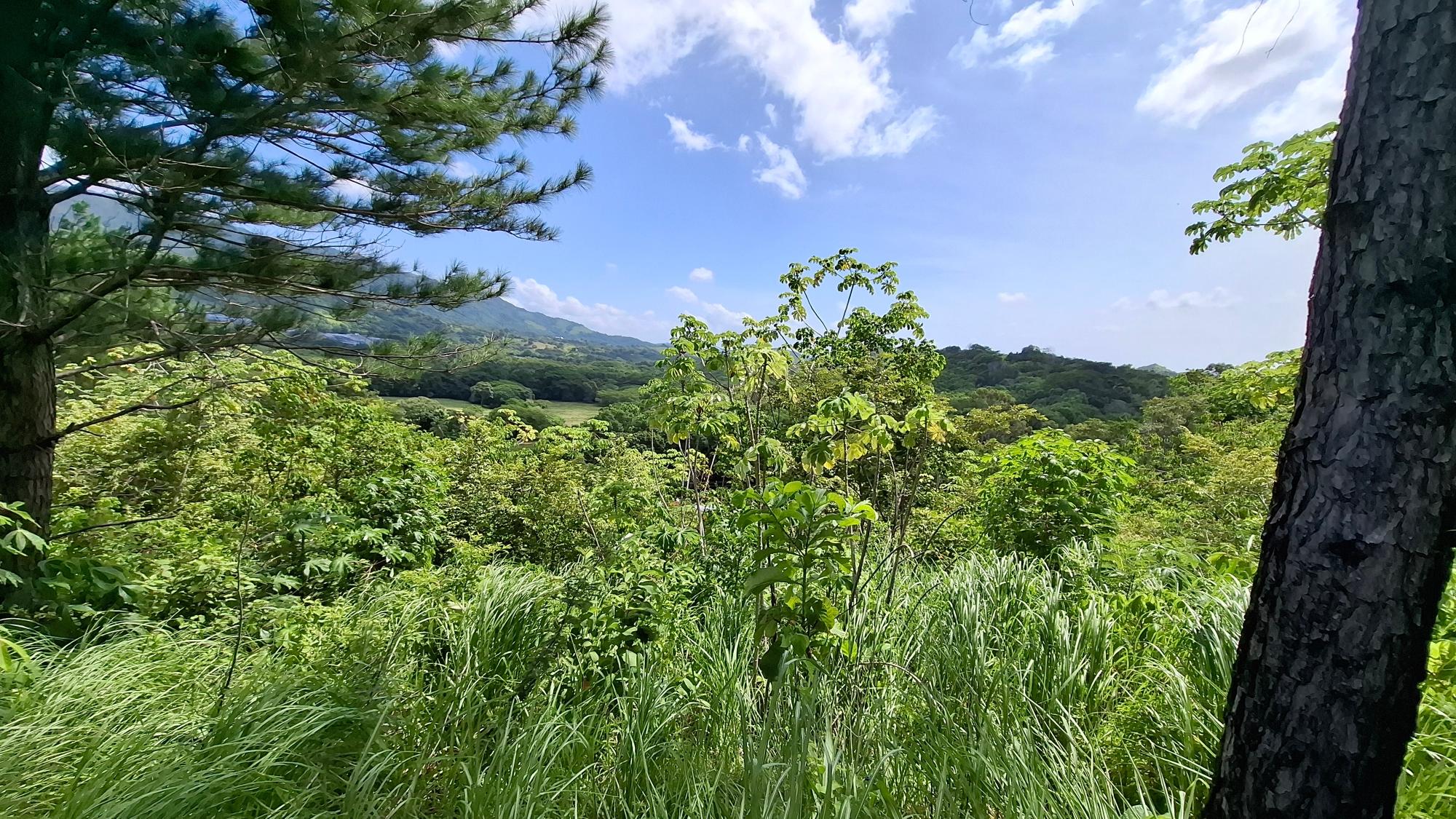 Terreno en venta en Bejuco
