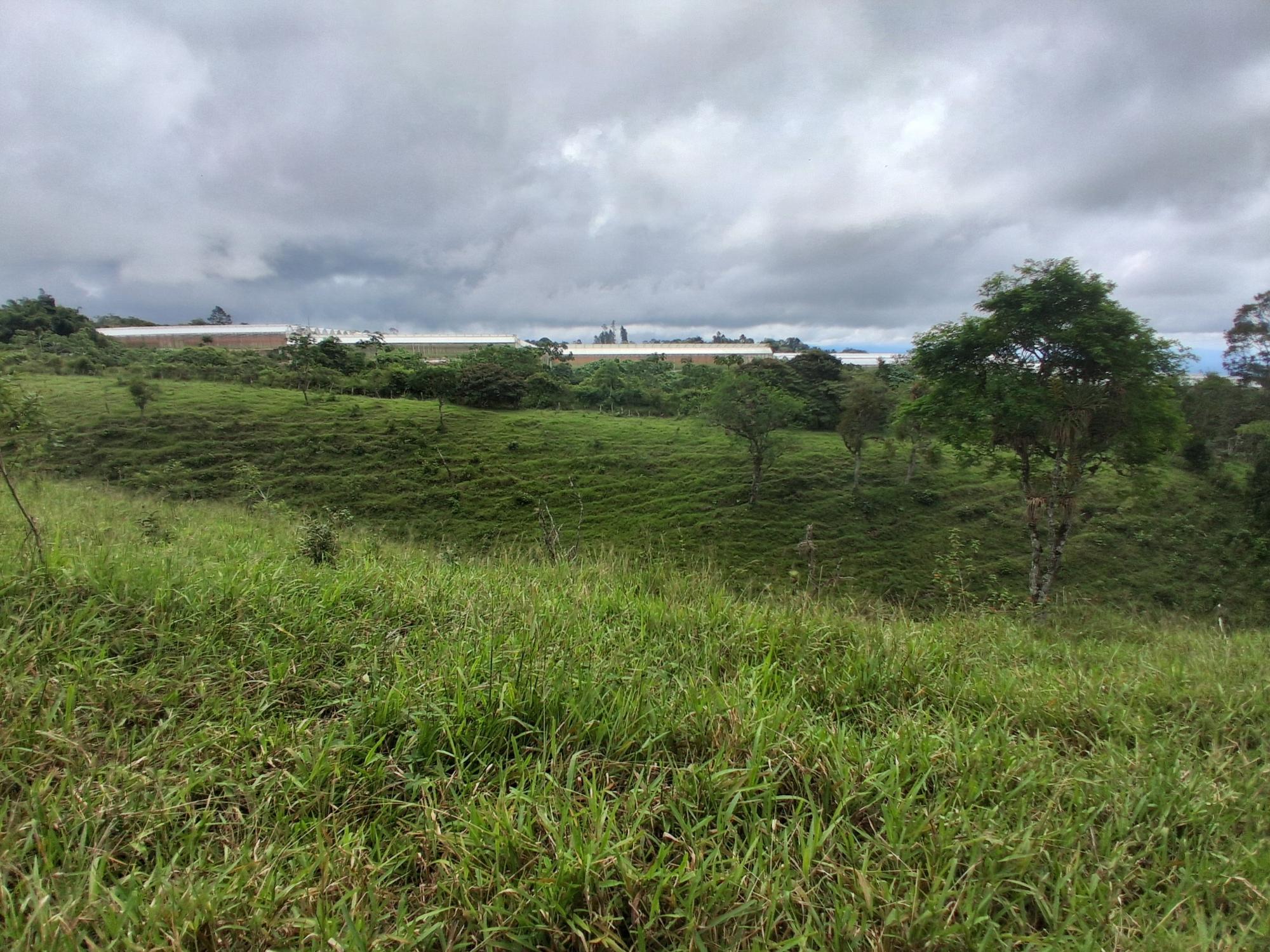 Finca en venta en Potrerillos Arriba