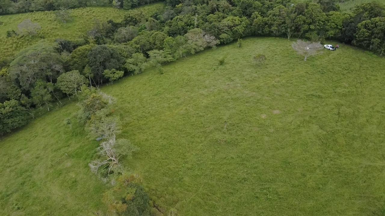 Finca en venta en Potrerillos Arriba