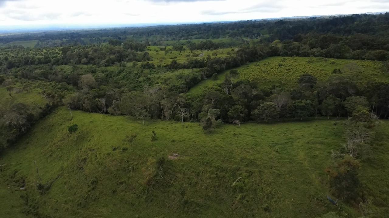 Finca en venta en Potrerillos Arriba