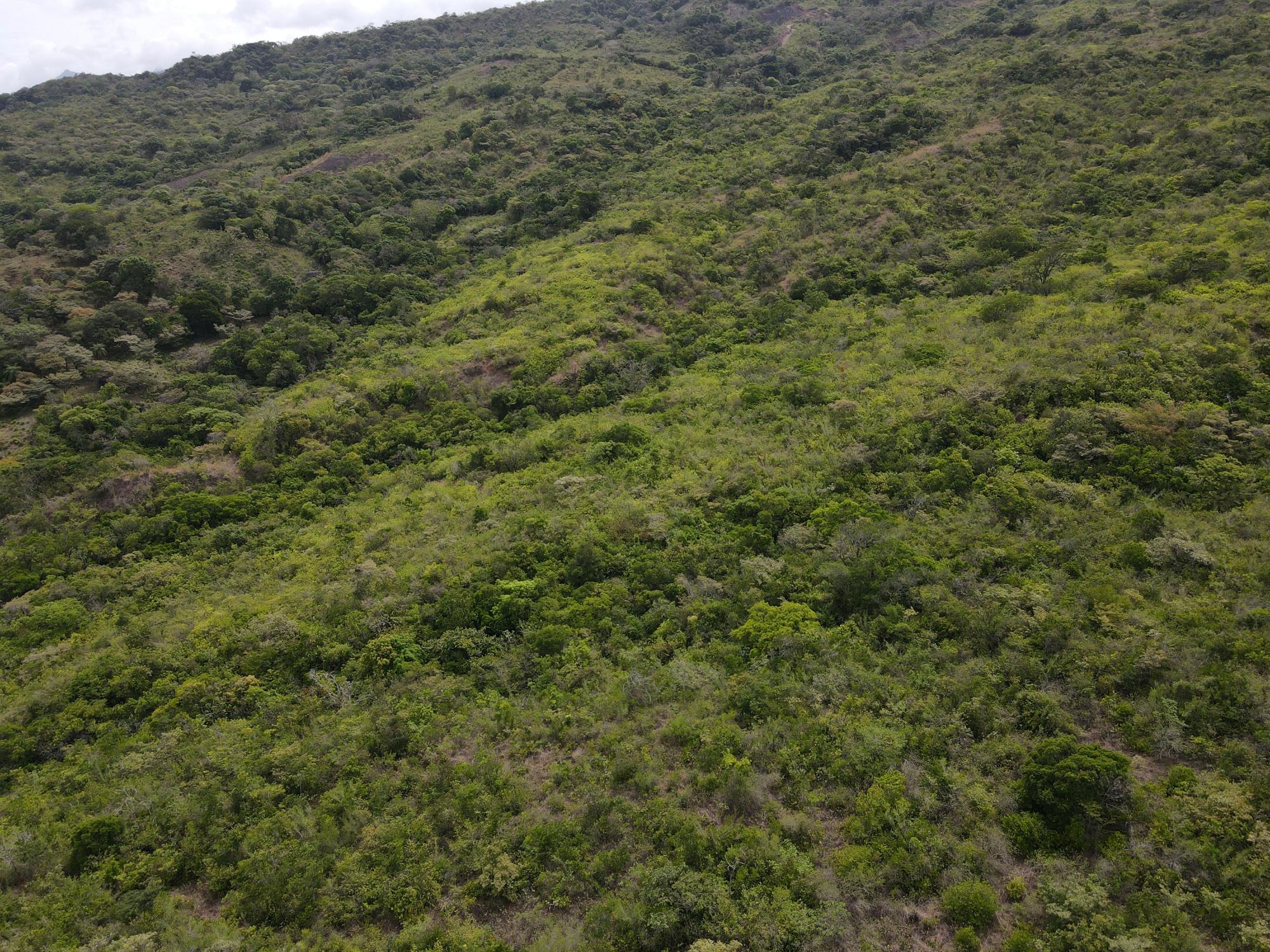 Finca en venta en Santa Fé