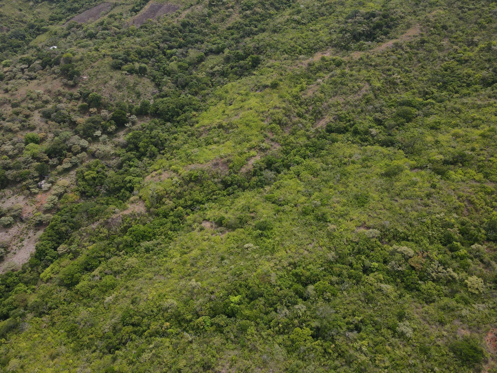 Finca en venta en Santa Fé