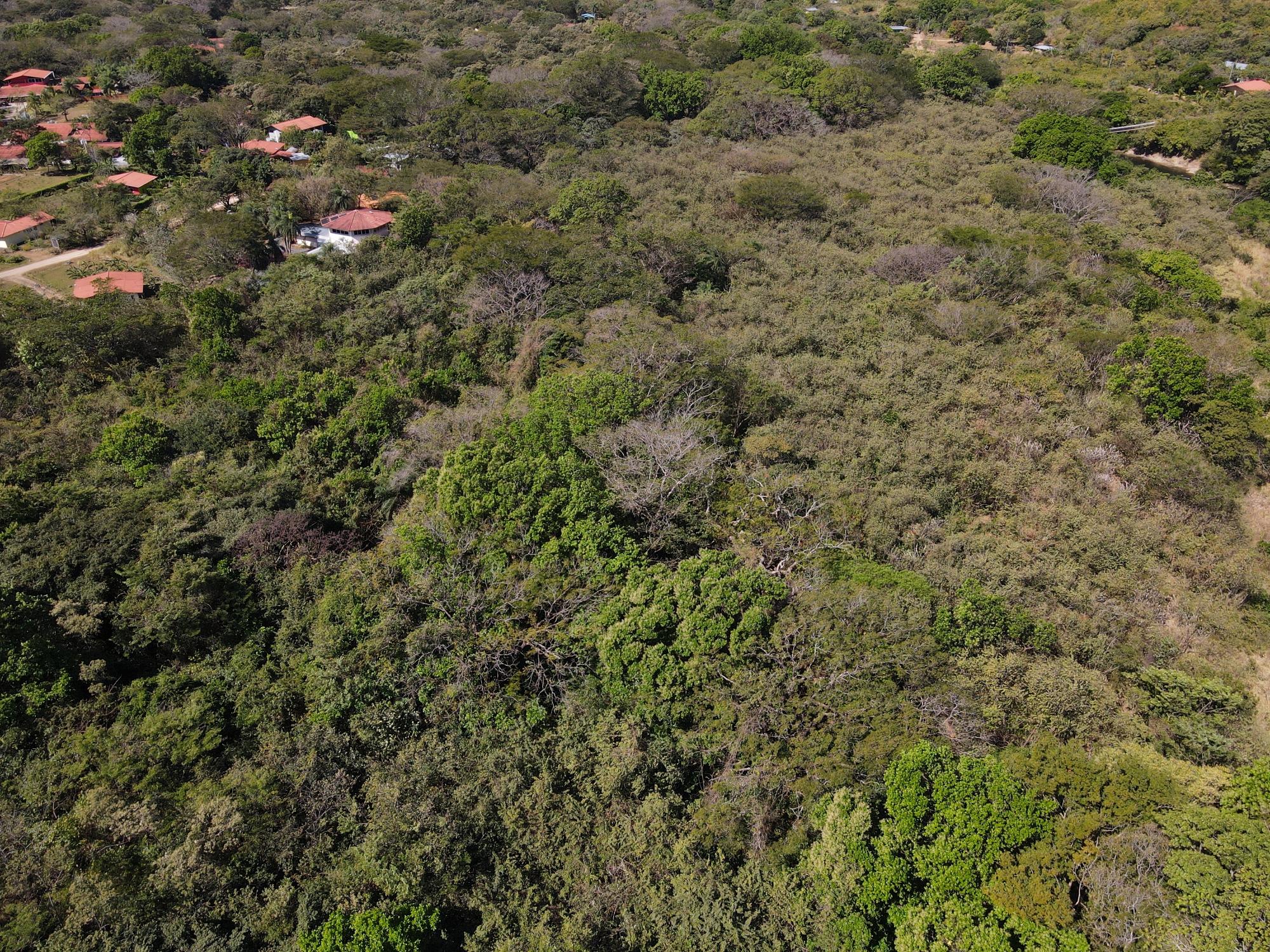 Finca en venta en Santa Fé