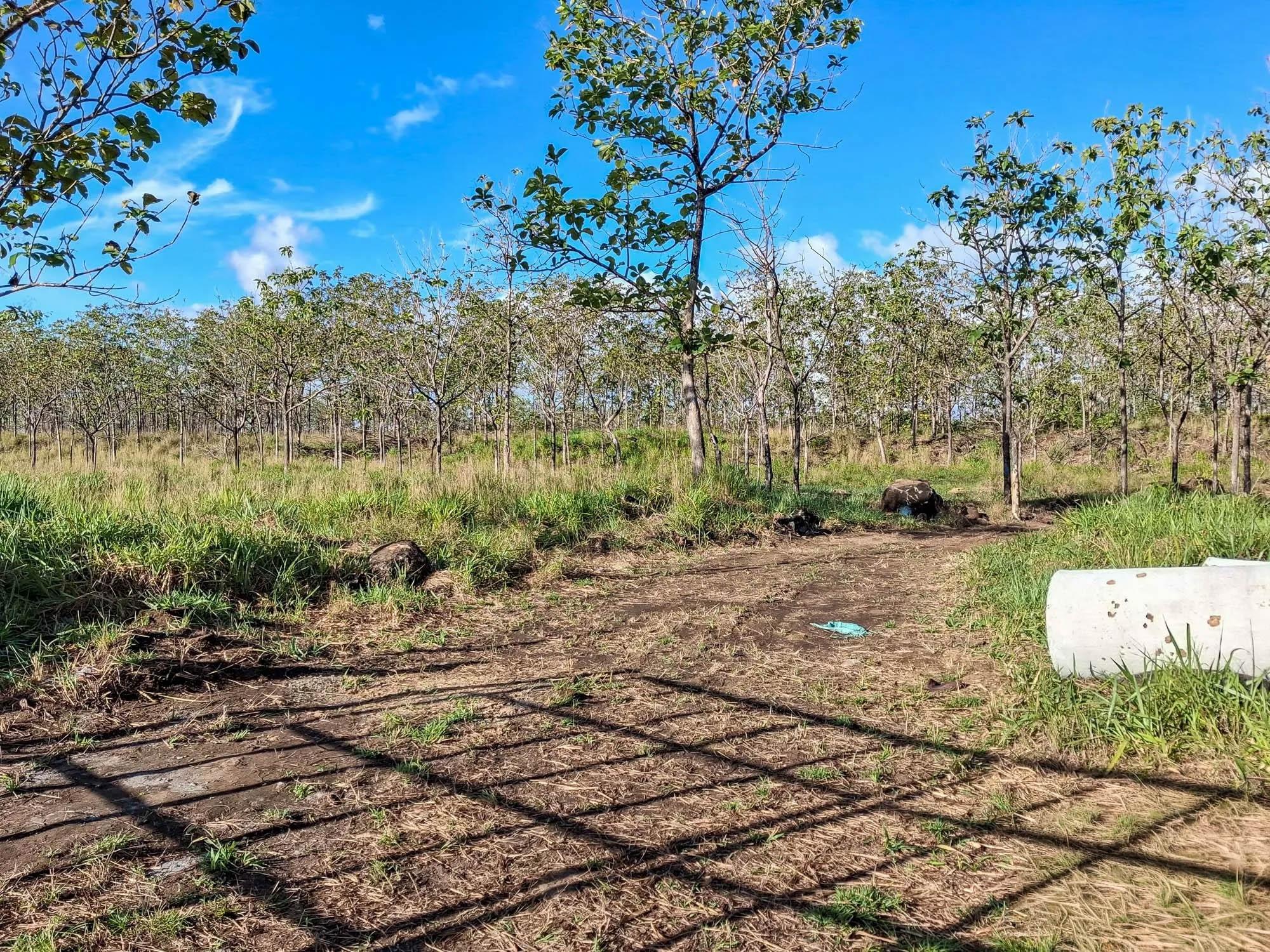 Terreno en venta en El Francés