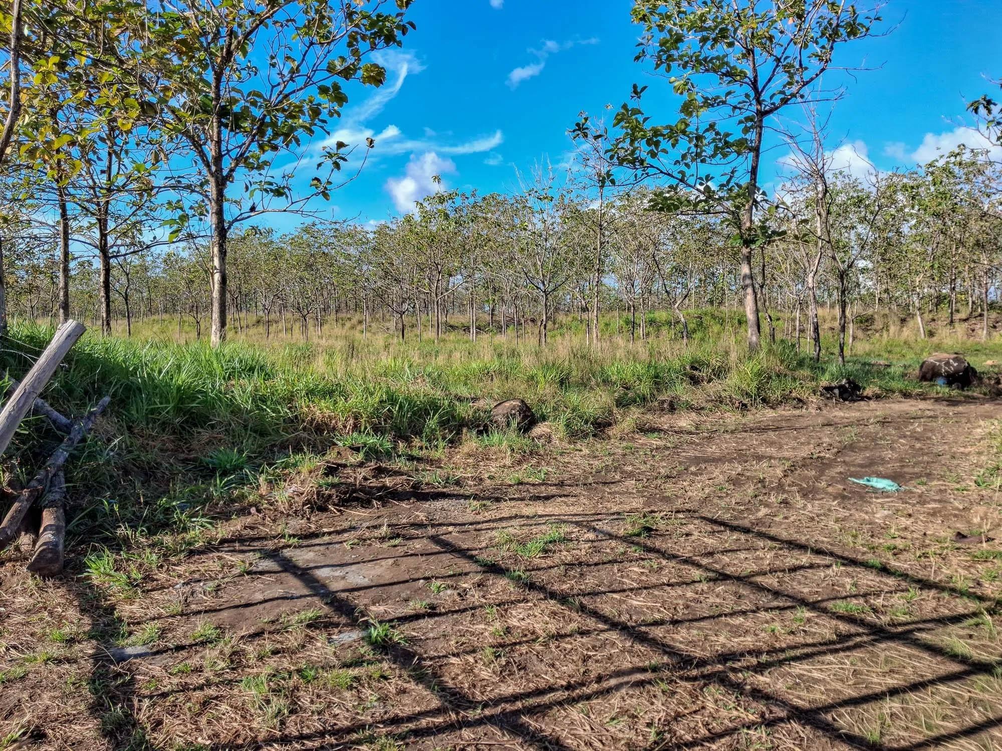 Terreno en venta en El Francés