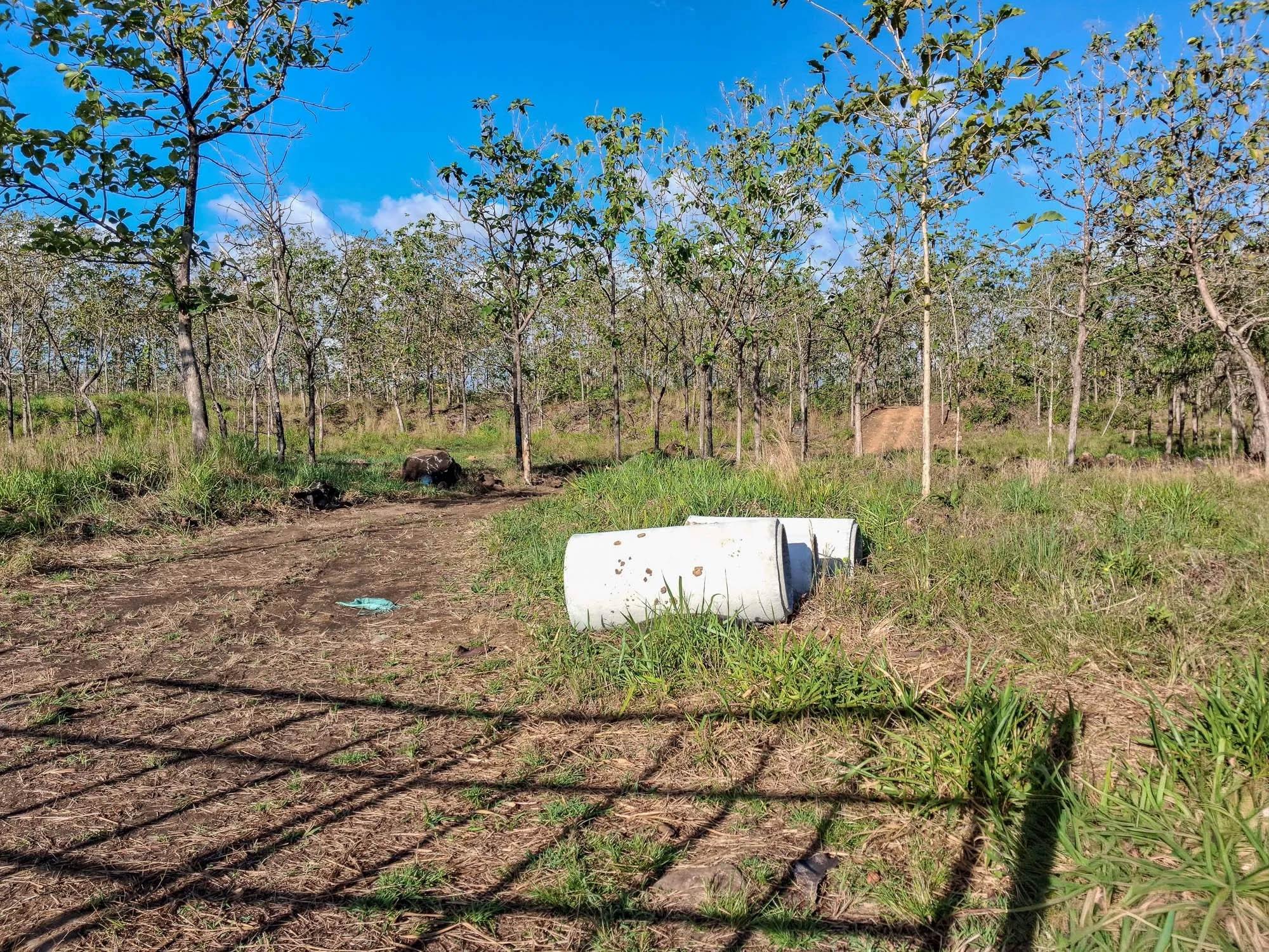 Terreno en venta en El Francés