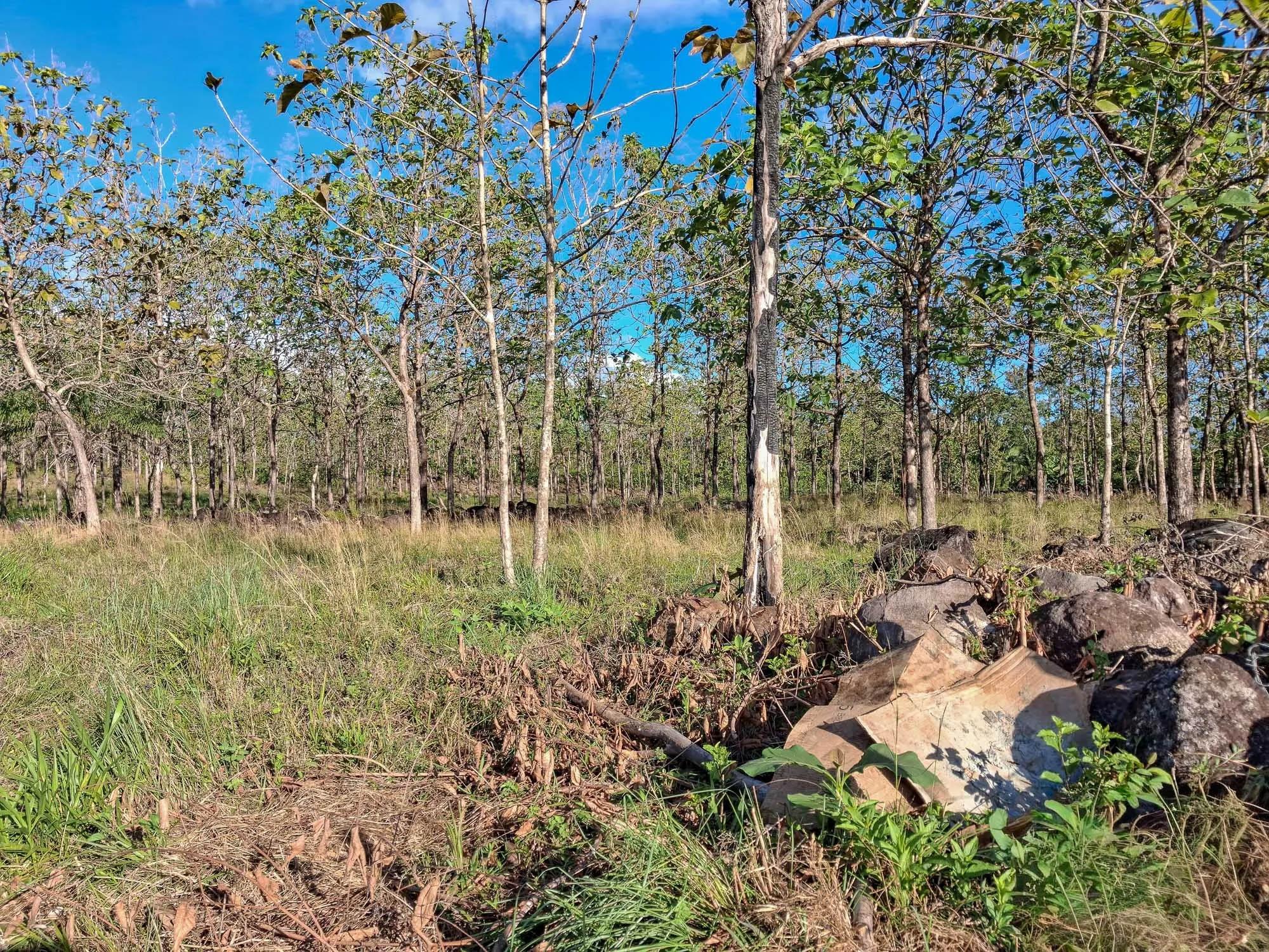 Terreno en venta en El Francés