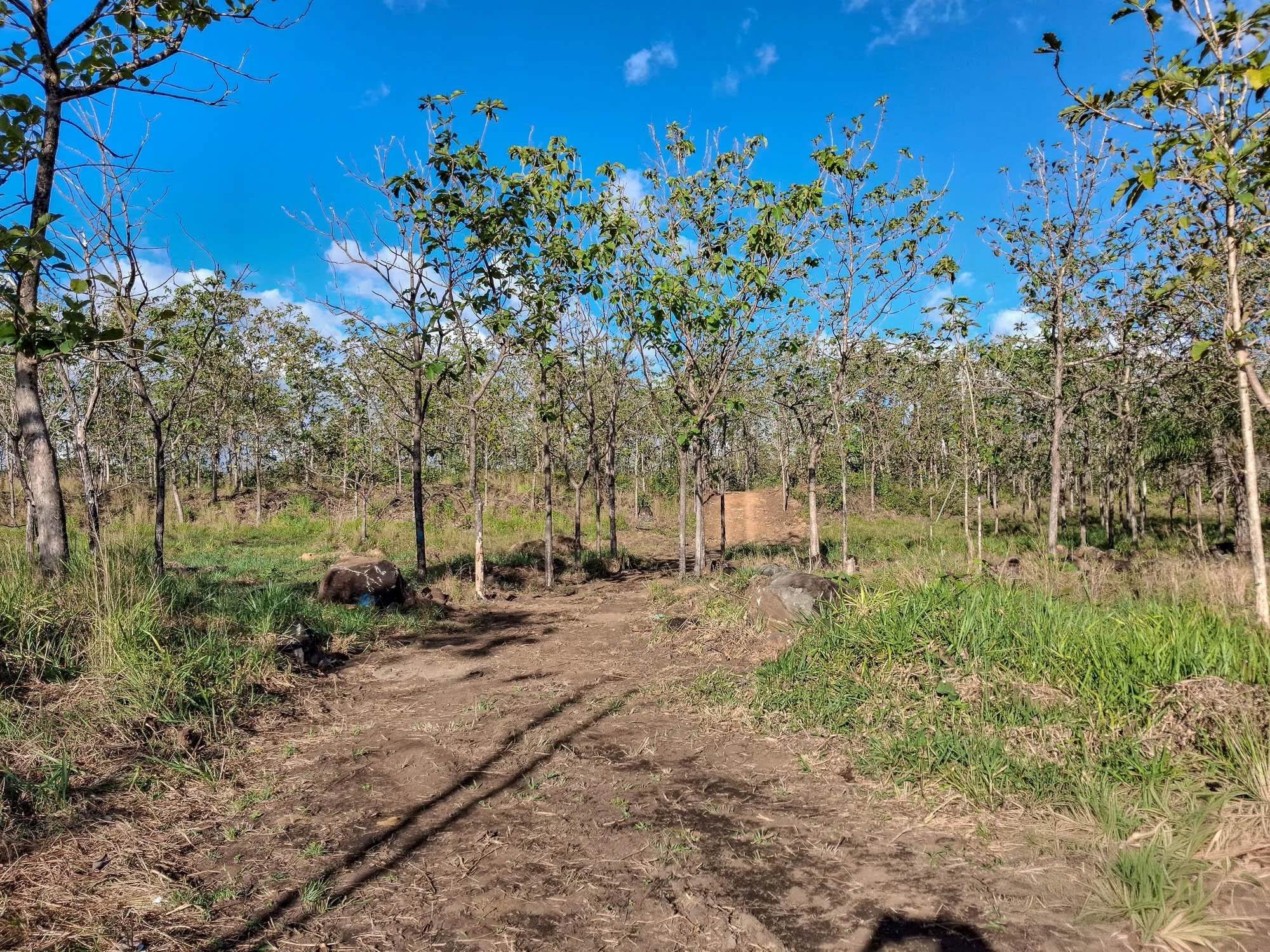 Terreno en venta en El Francés