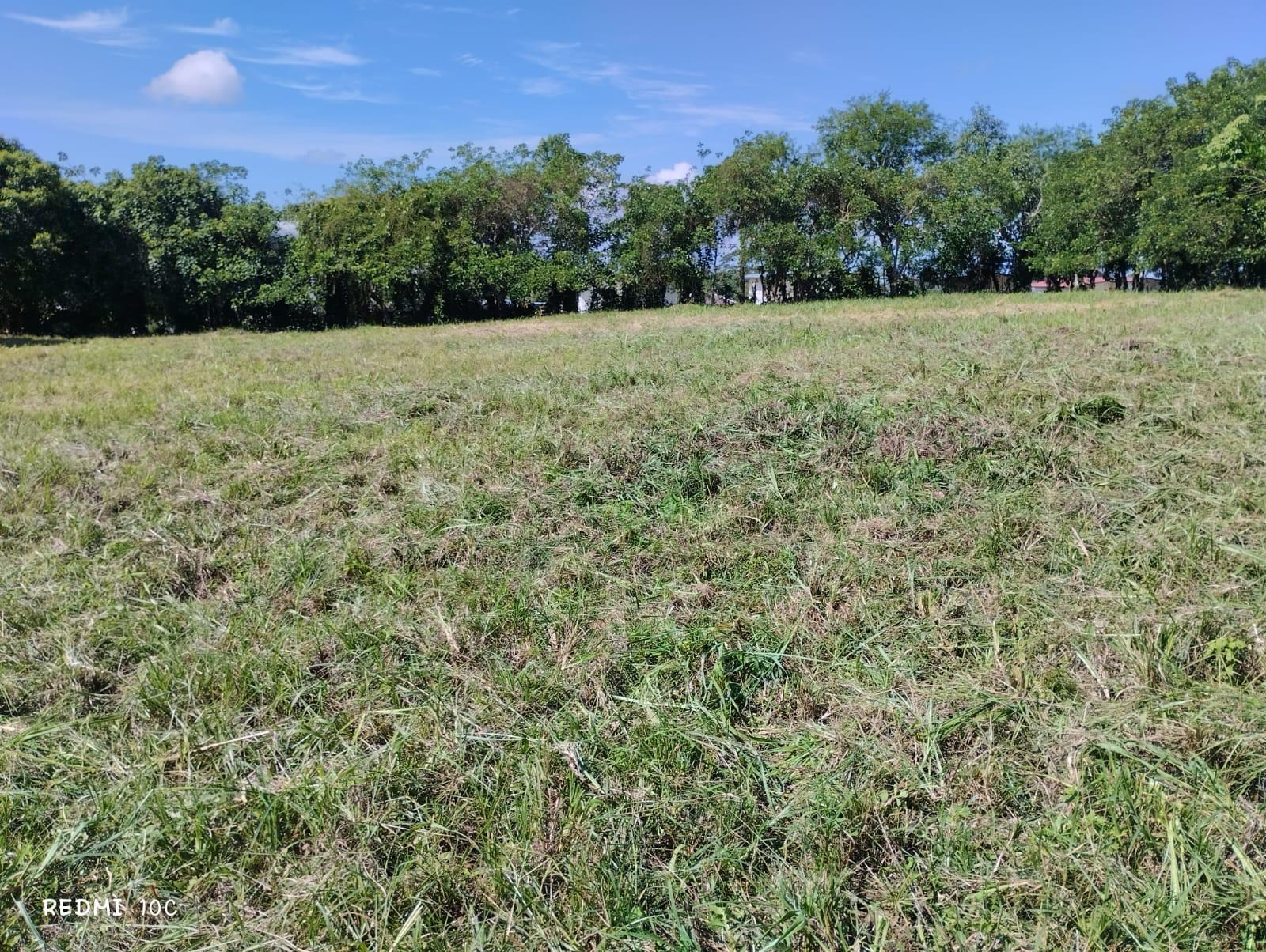 Terreno en venta en Bugaba