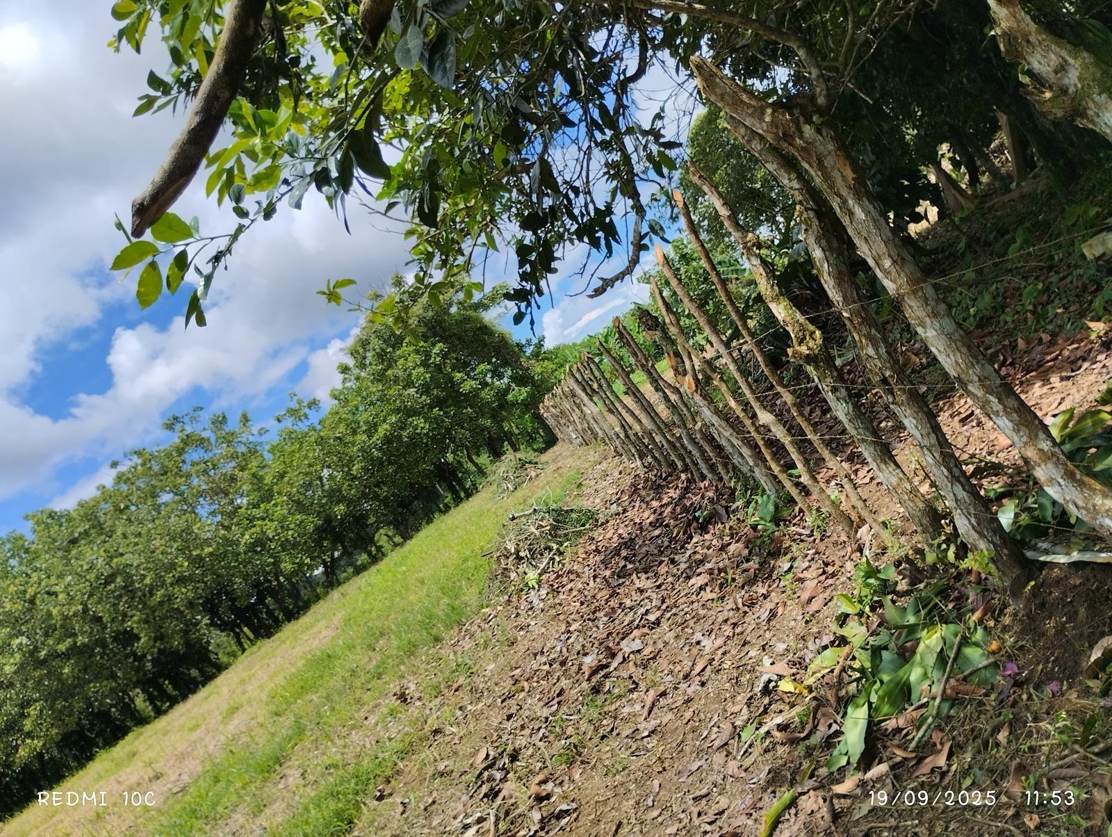 Terreno en venta en Bugaba