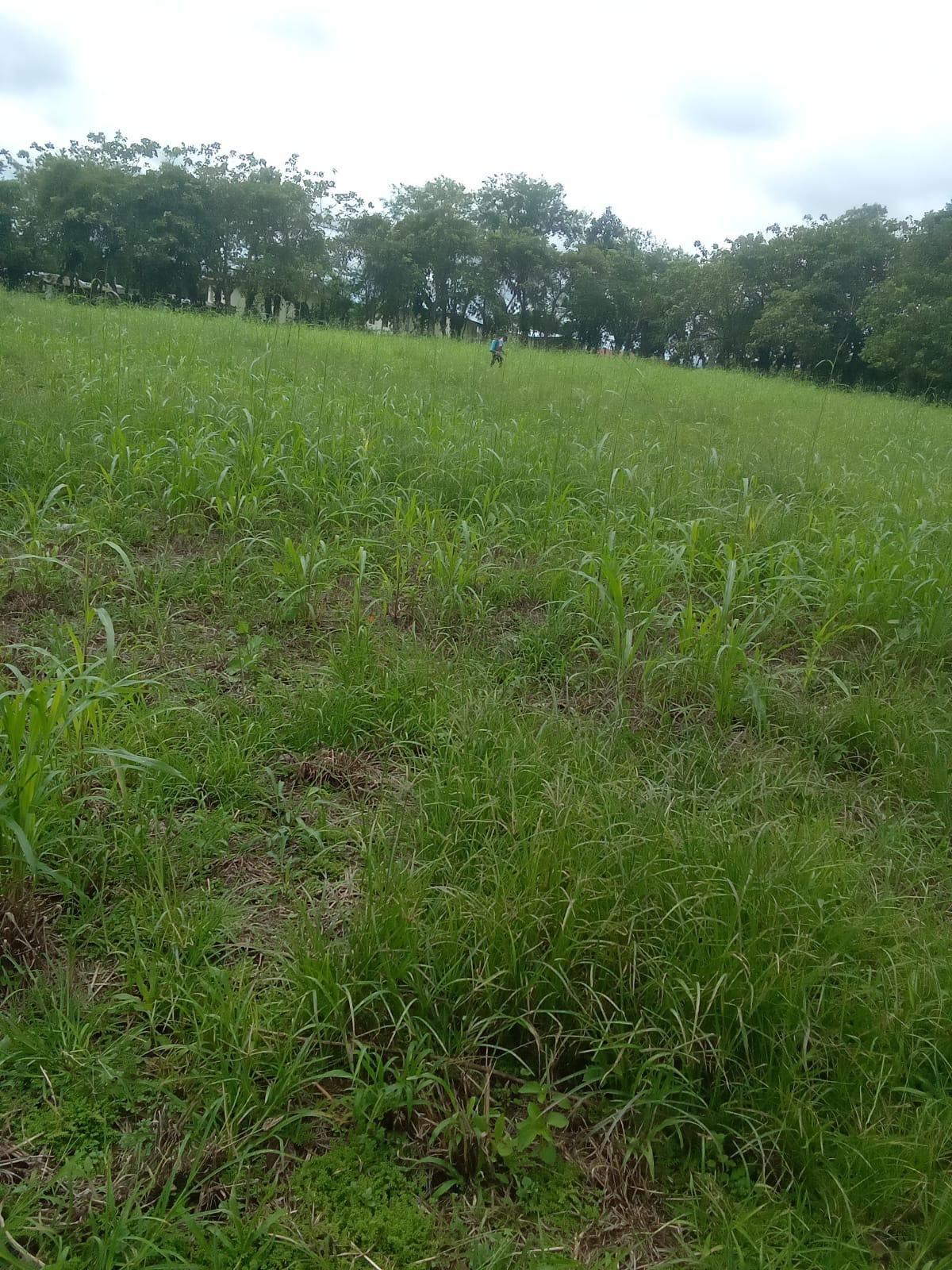 Terreno en venta en Bugaba