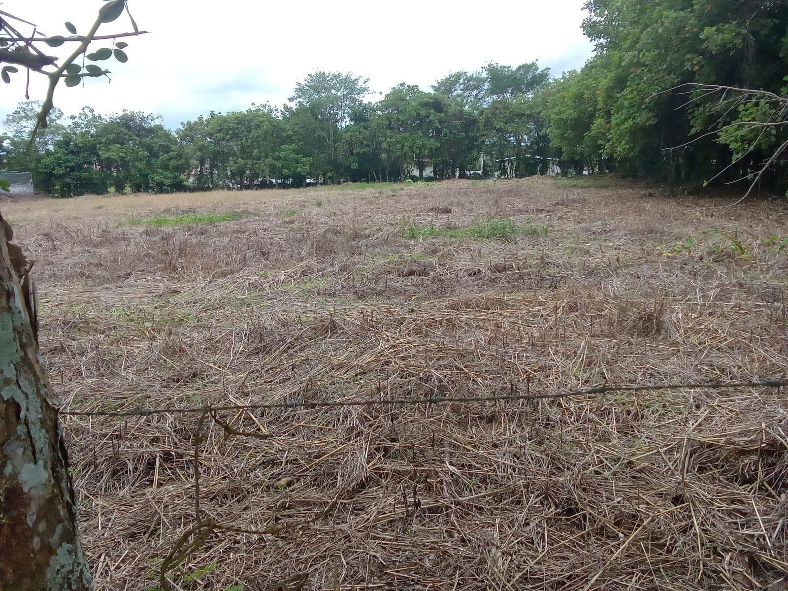 Terreno en venta en Bugaba