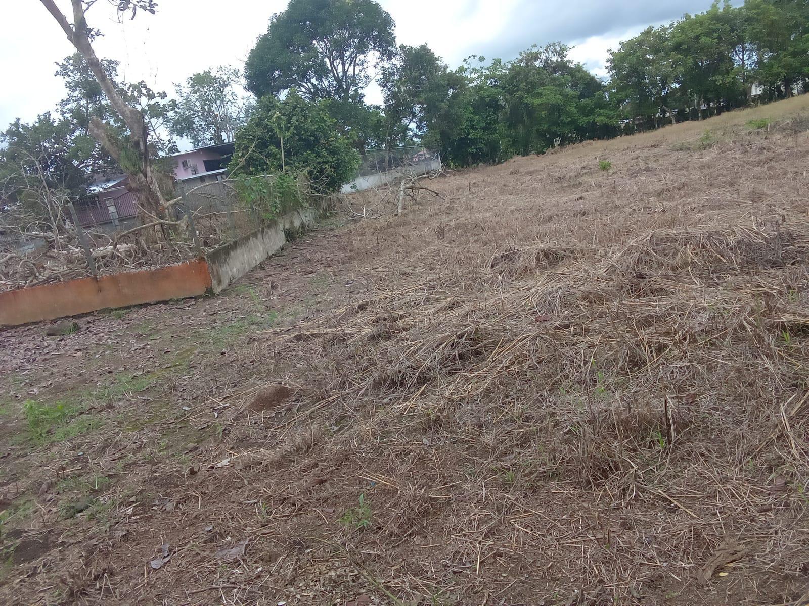 Terreno en venta en Bugaba