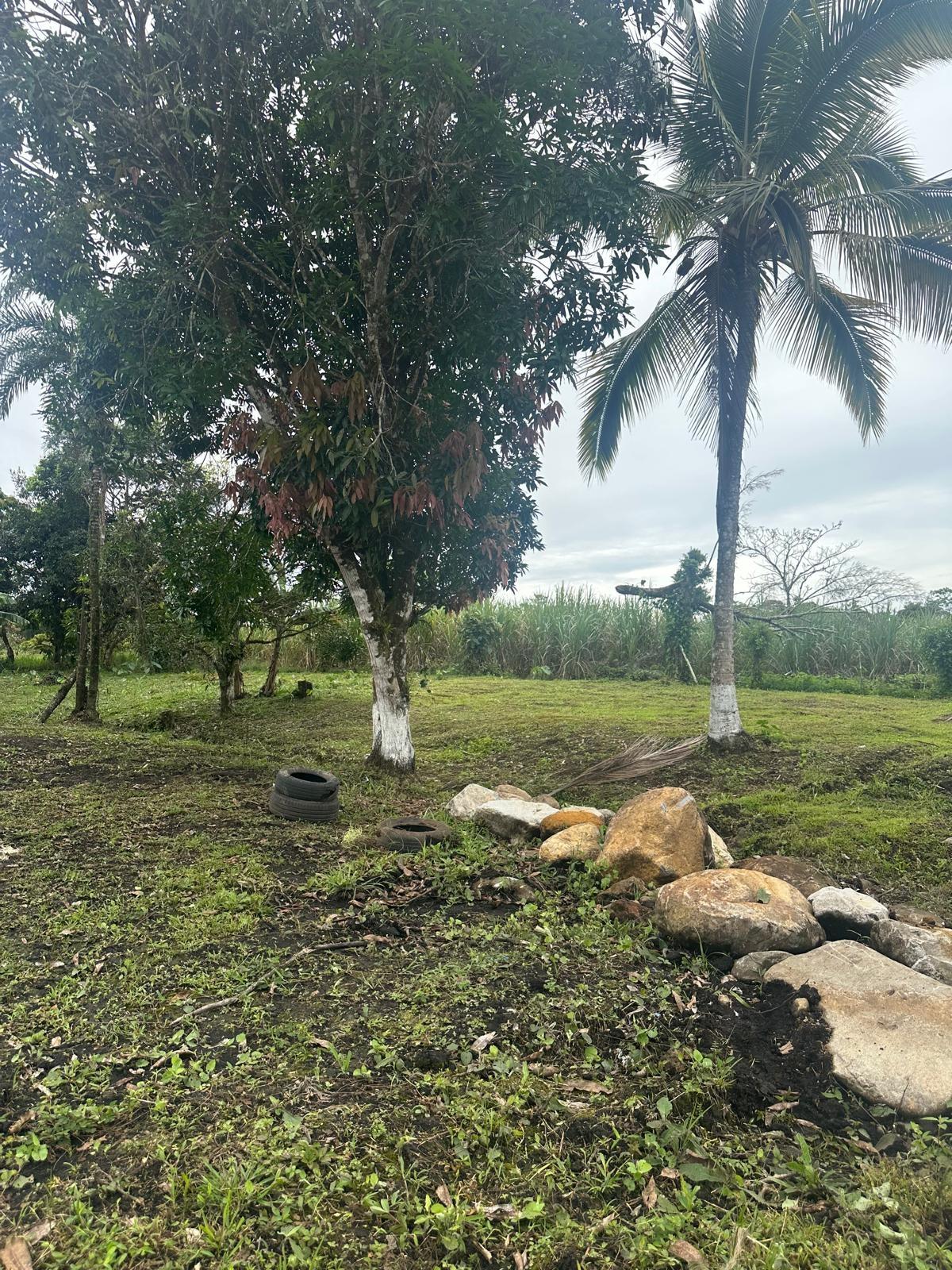 Terreno en venta en Santa Rita