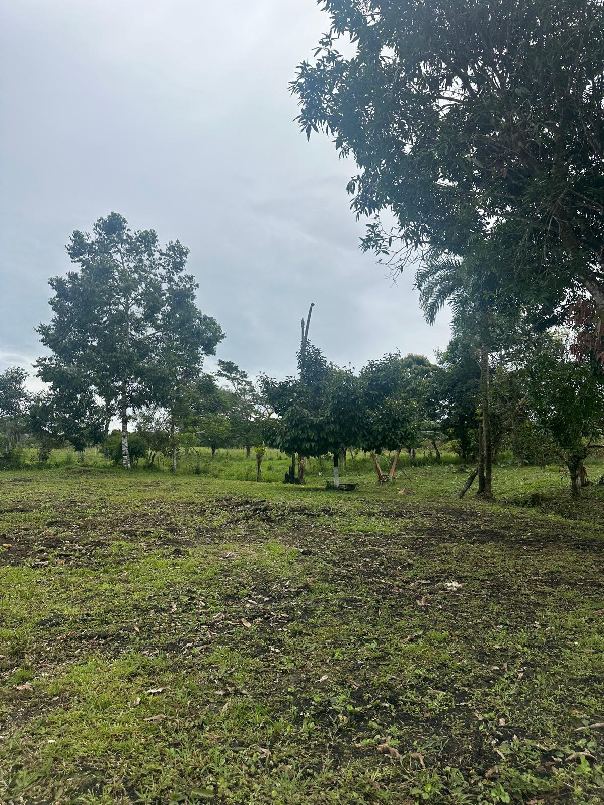 Terreno en venta en Santa Rita