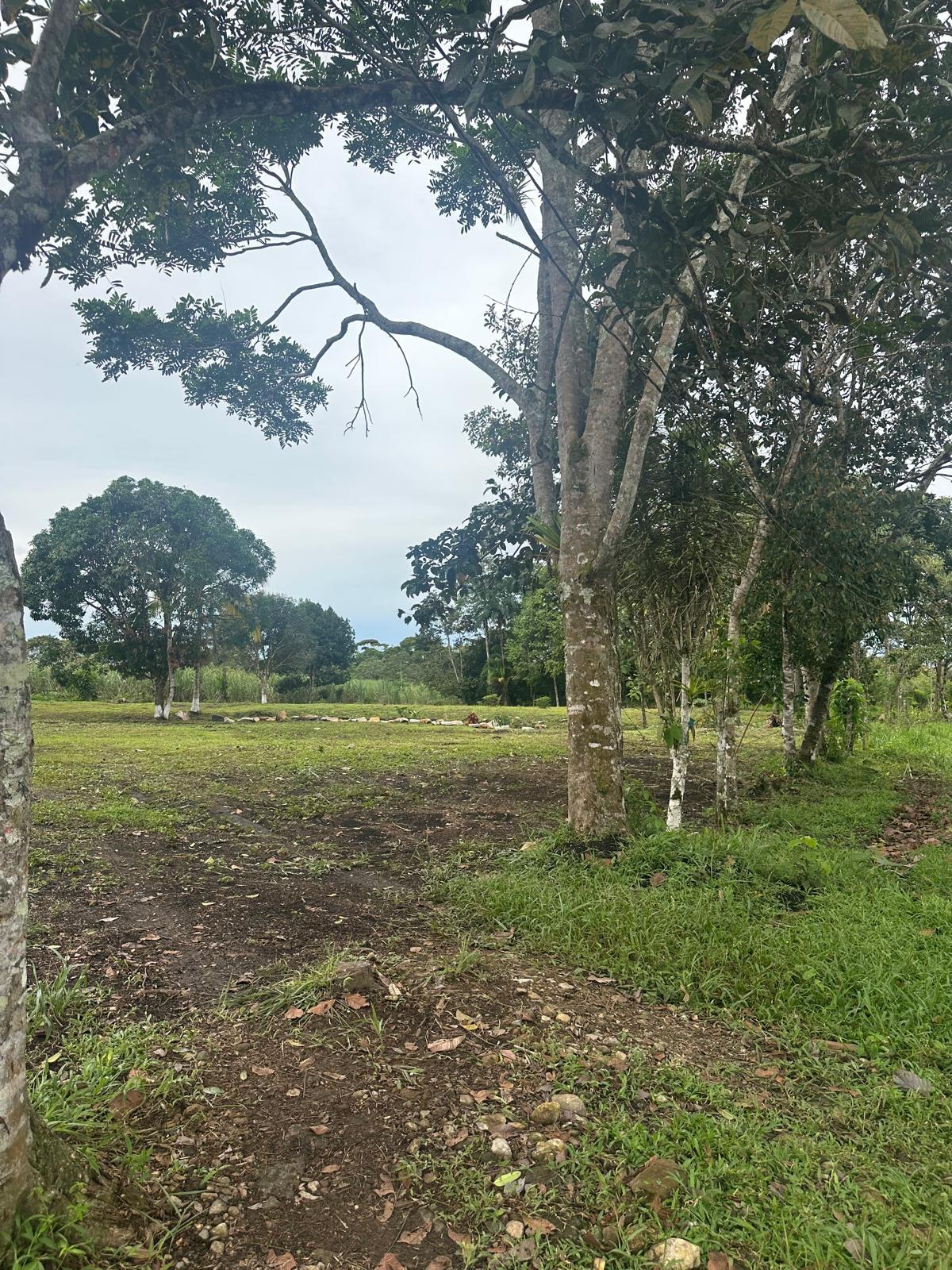 Terreno en venta en Santa Rita