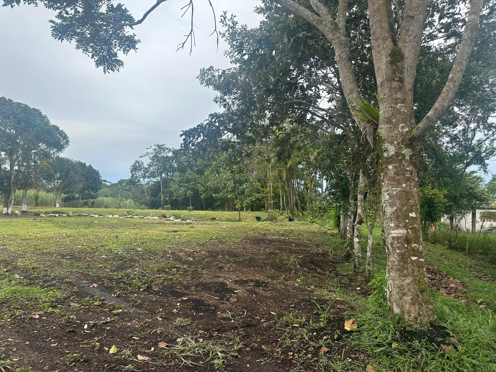 Terreno en venta en Santa Rita