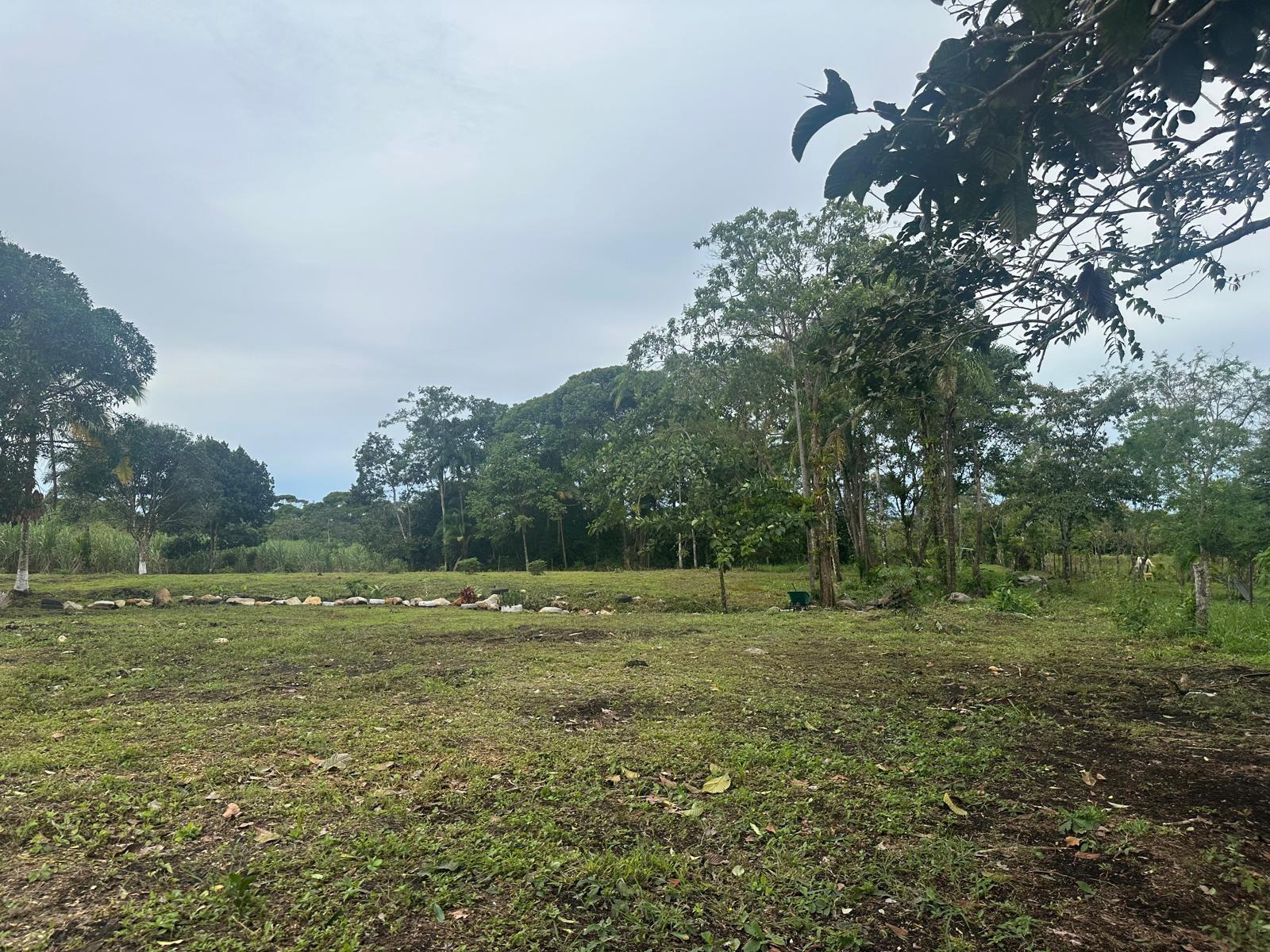 Terreno en venta en Santa Rita