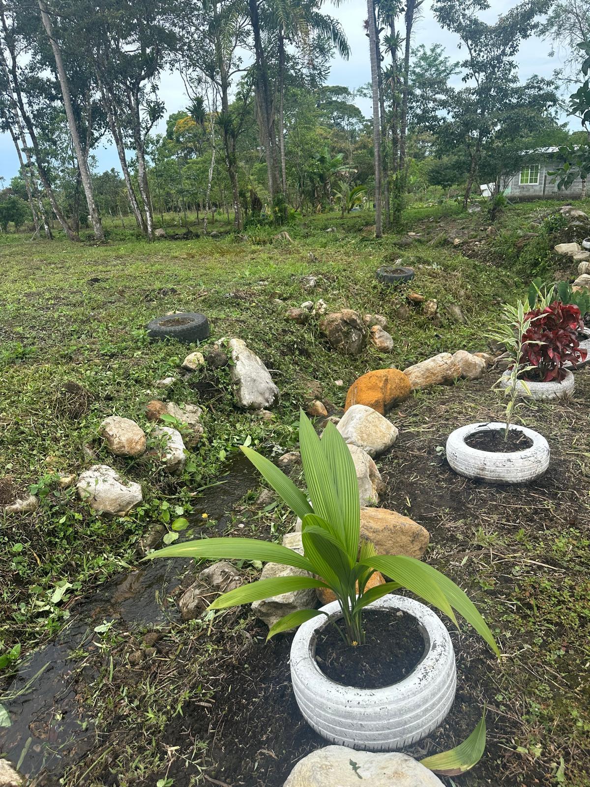 Terreno en venta en Santa Rita