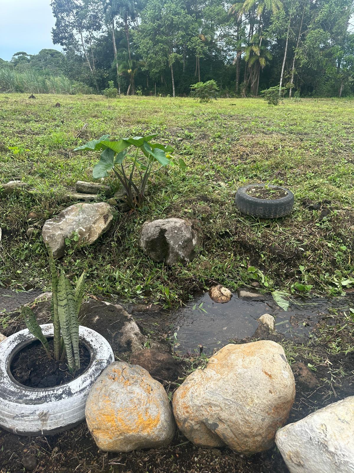 Terreno en venta en Santa Rita