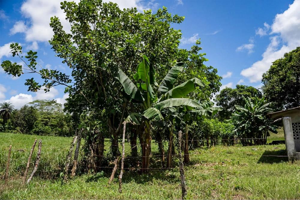 Terreno en venta en Bugaba