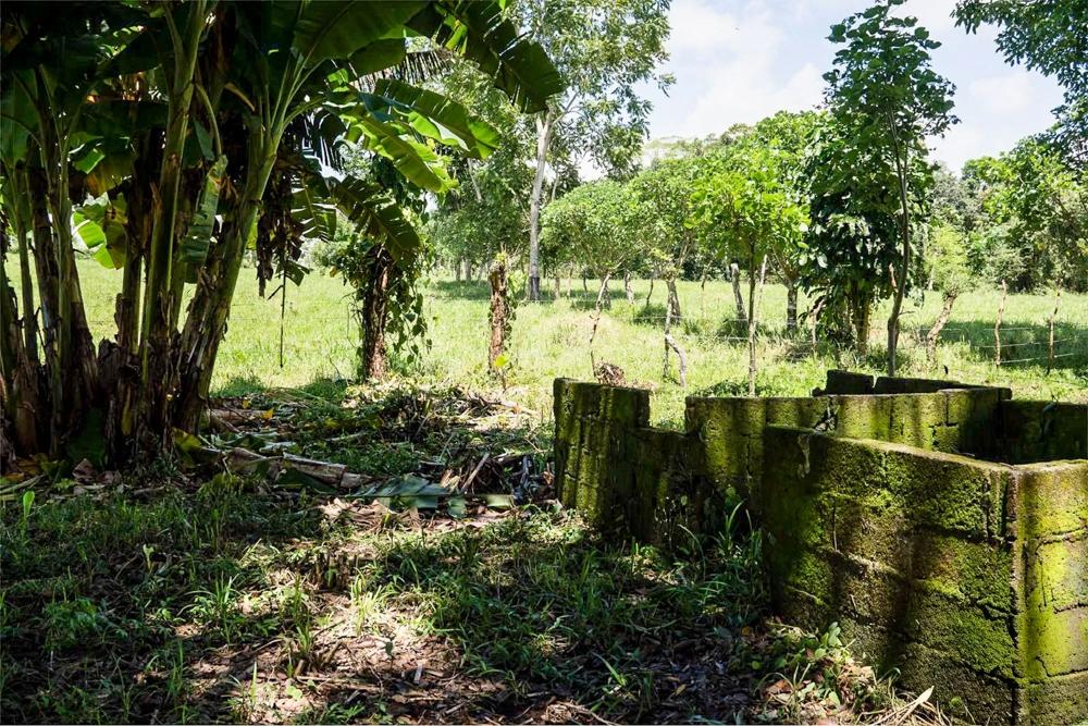 Terreno en venta en Bugaba