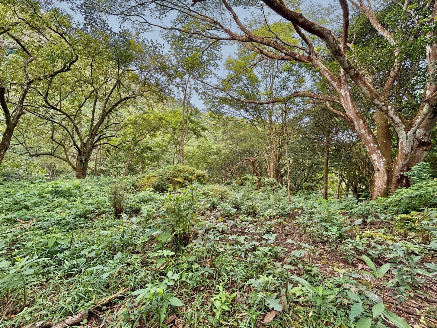 Terreno en venta en Altos del María