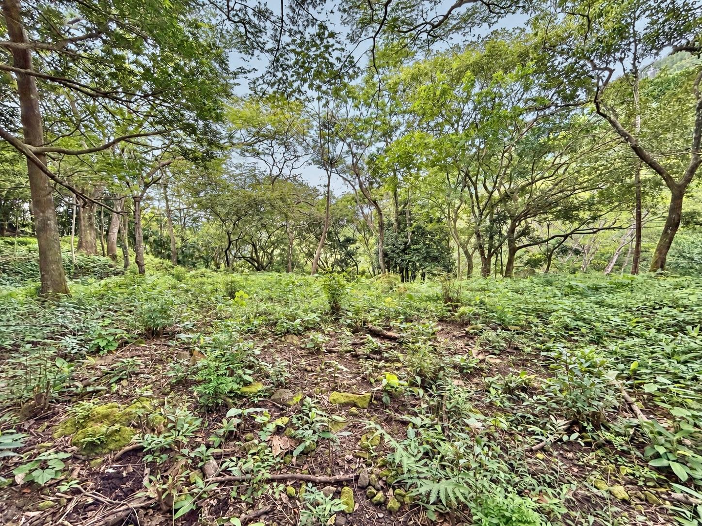 Terreno en venta en Altos del María