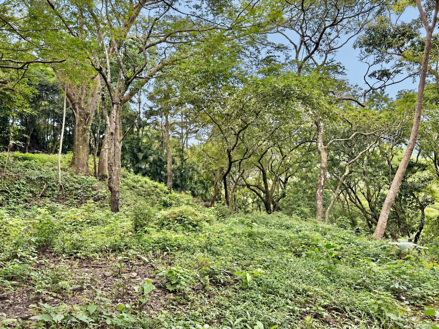 Terreno en venta en Altos del María