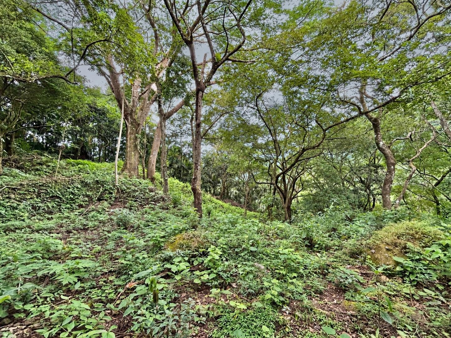 Terreno en venta en Altos del María