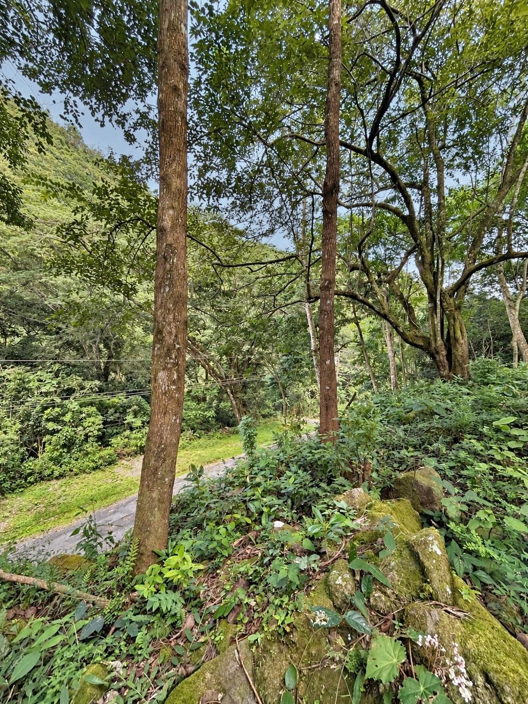 Terreno en venta en Altos del María