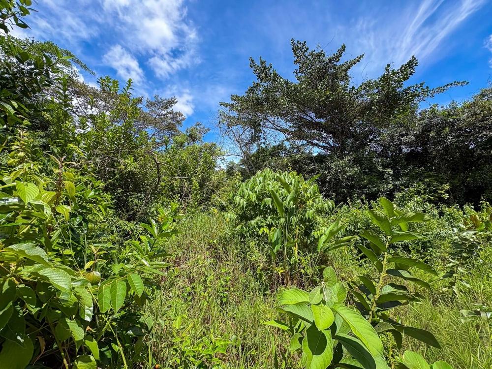 Terreno en venta en Potrerillos Arriba