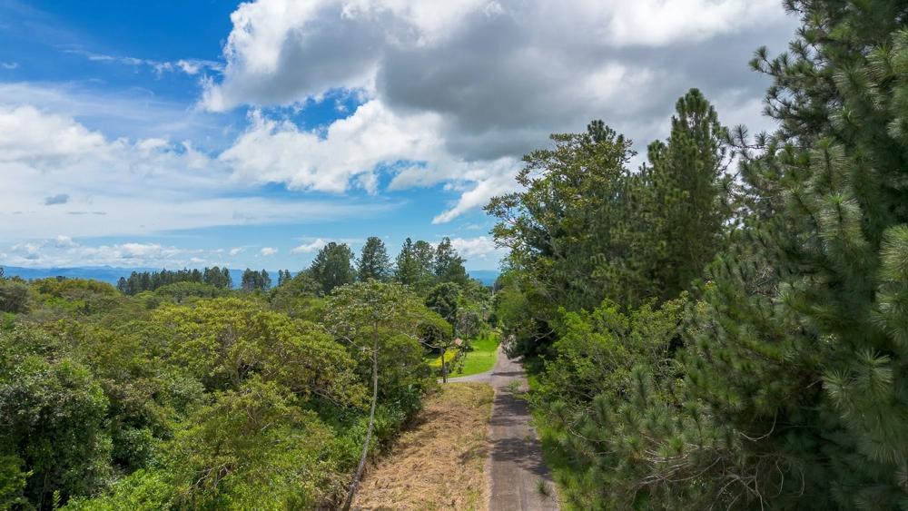 Terreno en venta en Potrerillos Arriba