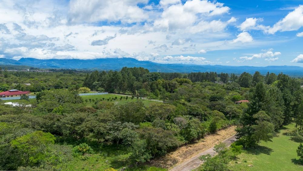 Terreno en venta en Potrerillos Arriba
