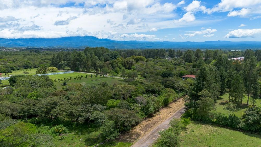 Terreno en venta en Potrerillos Arriba