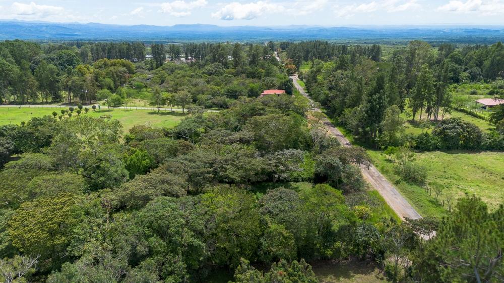 Terreno en venta en Potrerillos Arriba