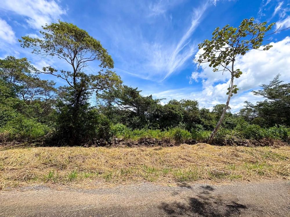 Terreno en venta en Potrerillos Arriba