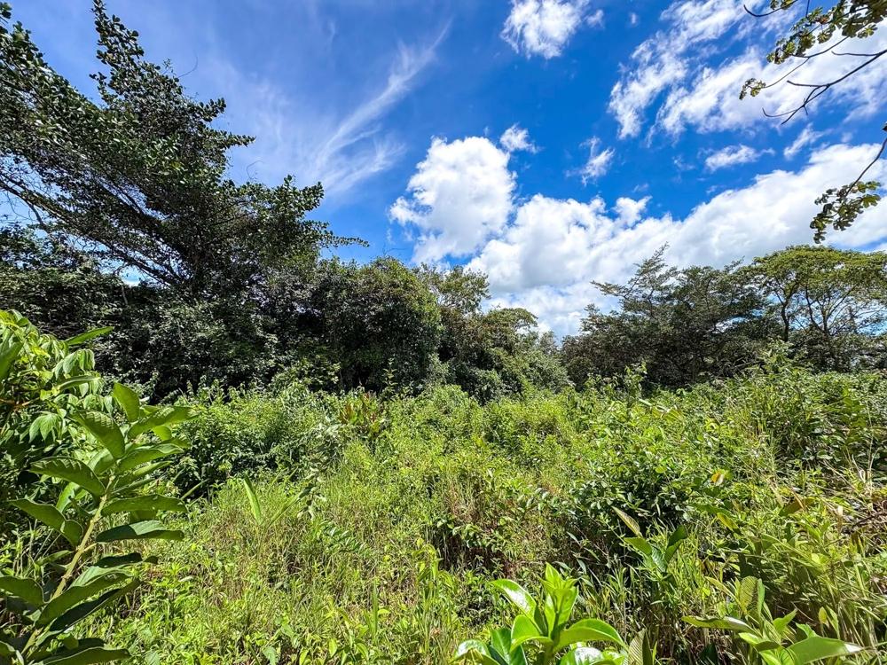 Terreno en venta en Potrerillos Arriba