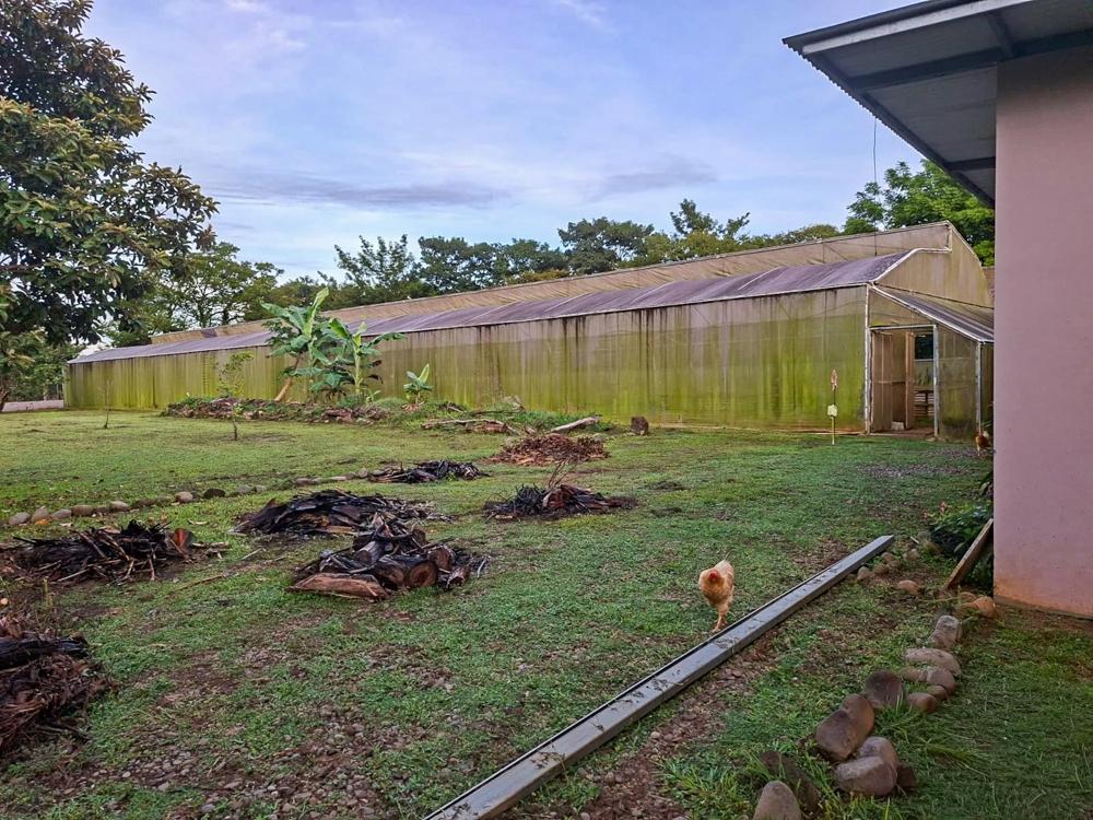 Casa en venta en Dolega