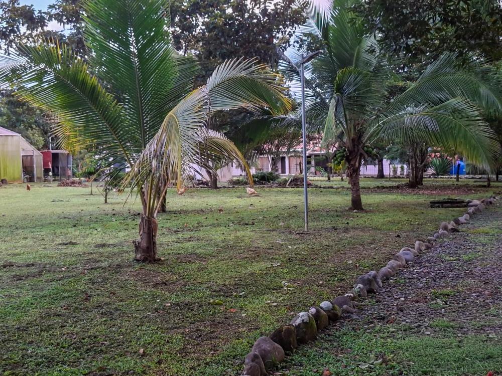 Casa en venta en Dolega