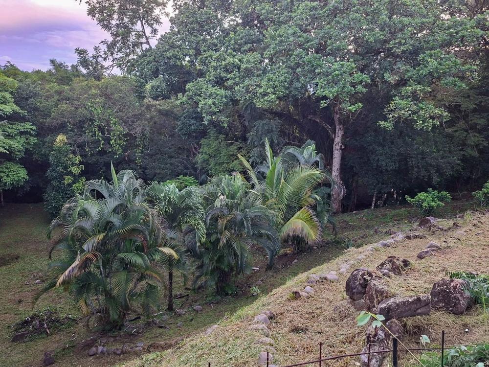 Casa en venta en Dolega