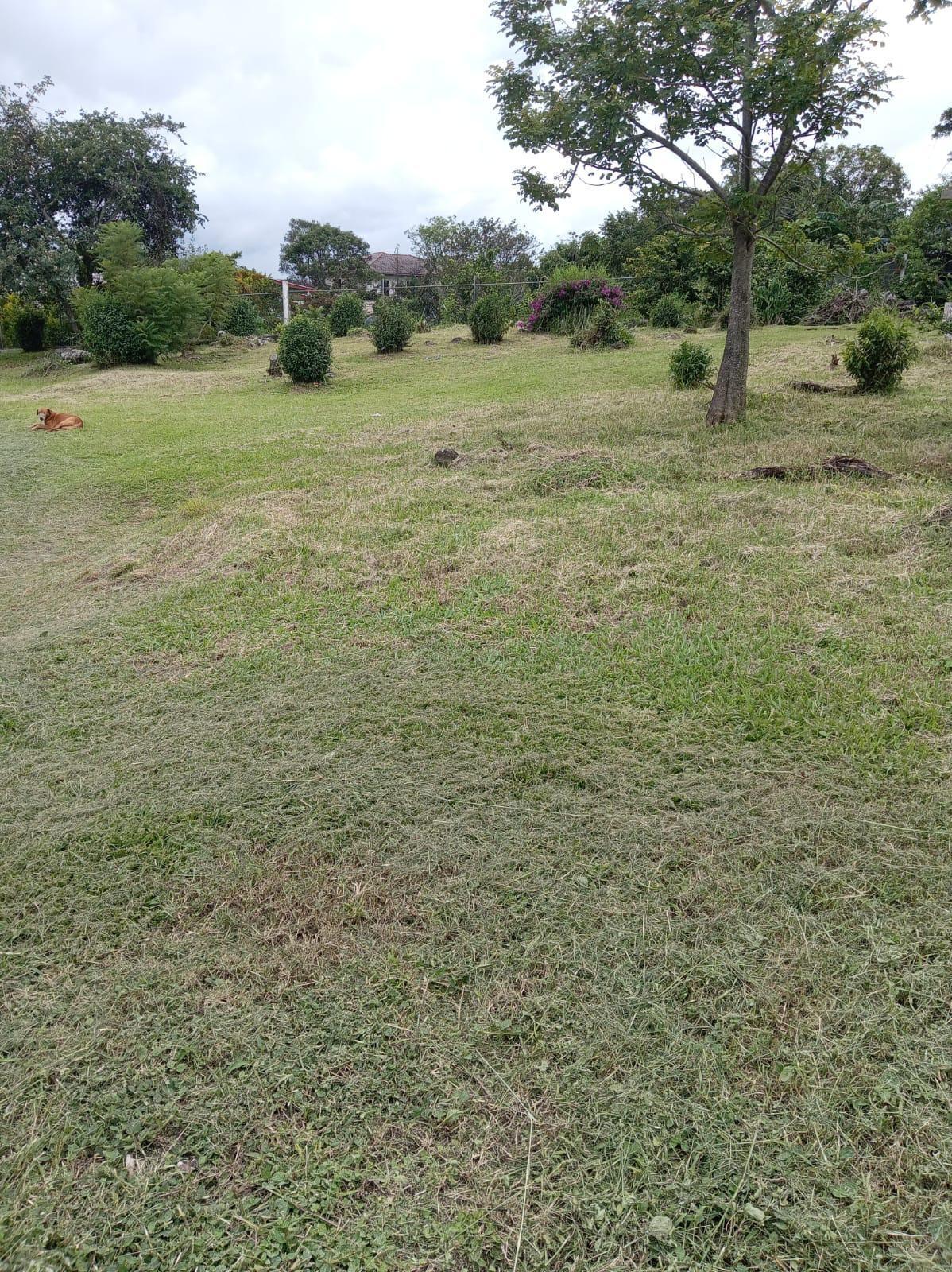 Terreno en venta en Bajo Boquete