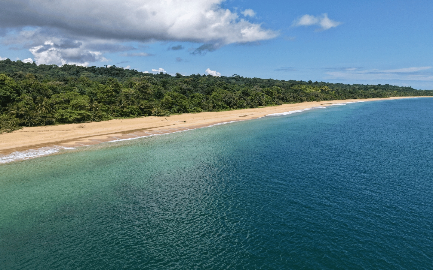 Terreno en venta en Bocas del Toro