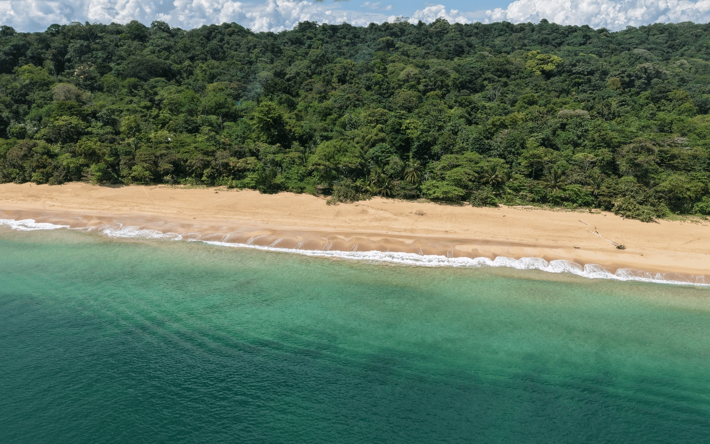 Terreno en venta en Bocas del Toro