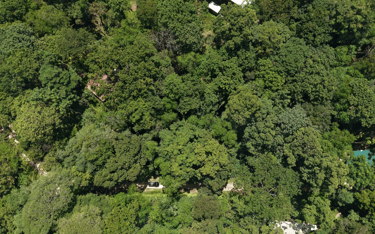 Terreno en venta en Bocas del Toro